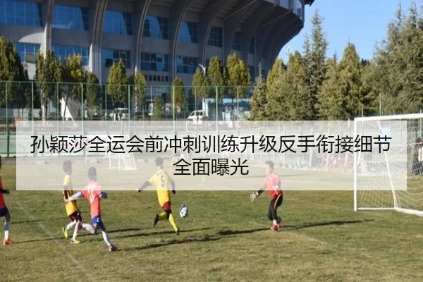 孙颖莎全运会前冲刺训练升级反手衔接细节全面曝光